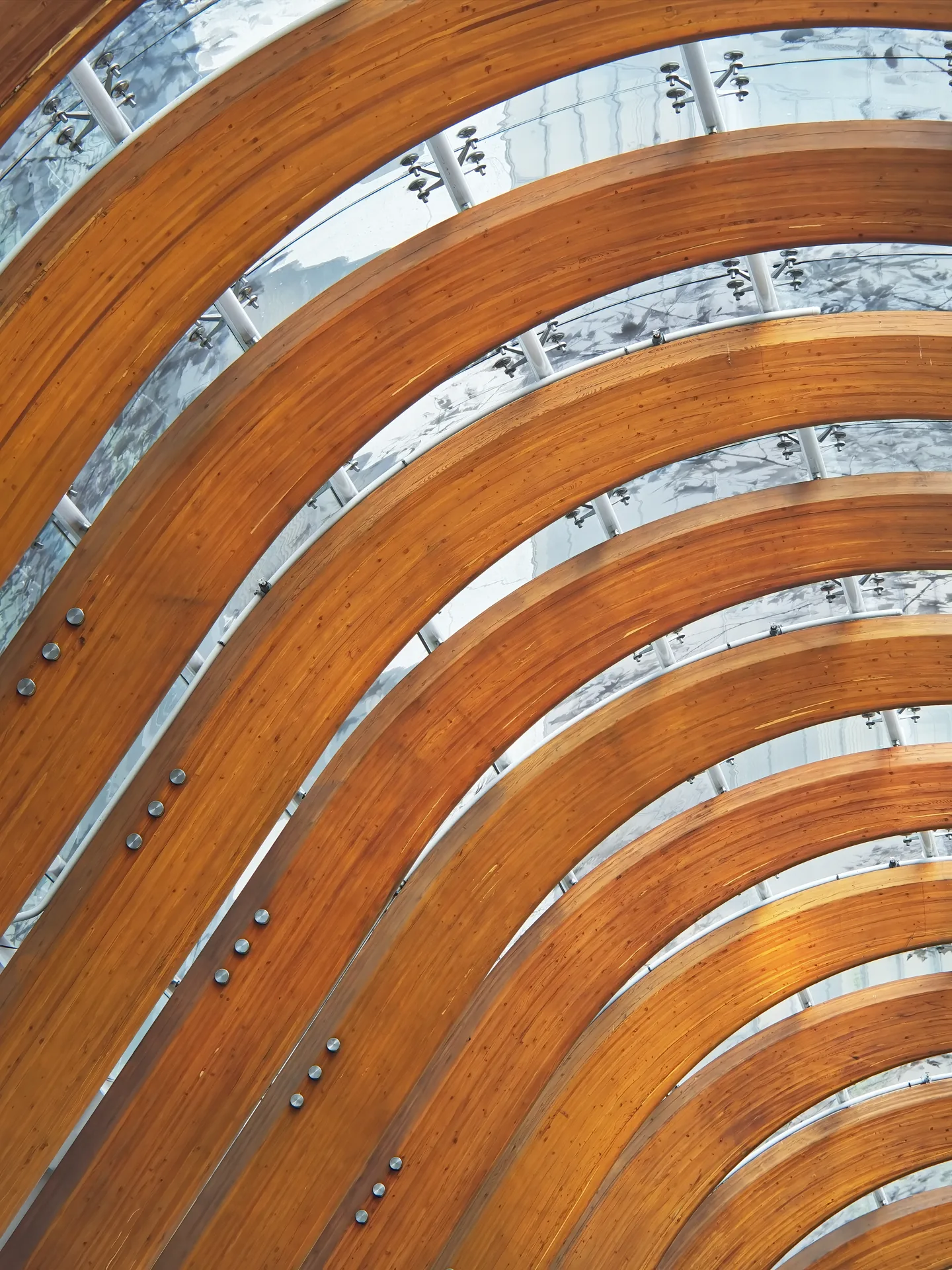 Curved laminated timber ribs against glass.
